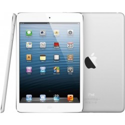 Apple iPad Air 4G 16GB cellular A1475 Silver Usato Grado A