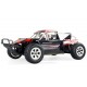 DUNE BREAKER PRO SAND BUGGY BRUSHLESS 4WD 1:10