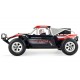 DUNE BREAKER PRO SAND BUGGY BRUSHLESS 4WD 1:10