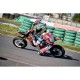 PIT BIKE KAYO 110cc TSD110 a marce semiautomatica RUOTE 14-12