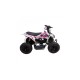 QUAD ATV RAPTOR 110 AUTOMATICO CON RETROMARCIA E RUOTE 7 POLLICI