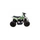 QUAD ATV RAPTOR 110 AUTOMATICO CON RETROMARCIA E RUOTE 7 POLLICI