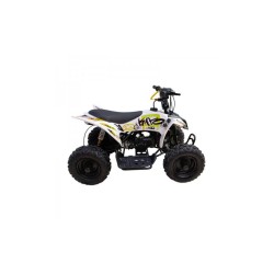 QUAD ATV RAPTOR 110 AUTOMATICO CON RETROMARCIA E RUOTE 7 POLLICI