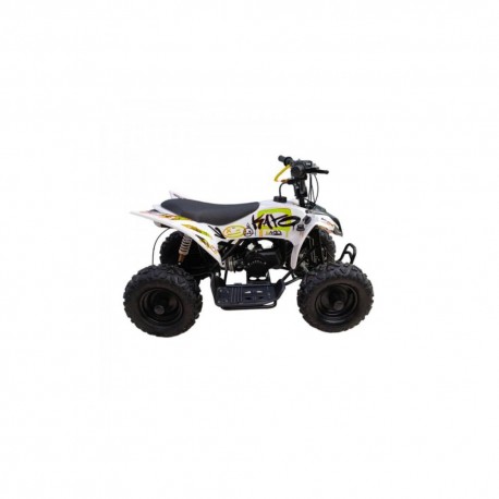 QUAD ATV RAPTOR 110 AUTOMATICO CON RETROMARCIA E RUOTE 7 POLLICI