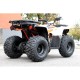 QUAD ATV RENEGADE 125 XXL RUOTE 8