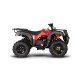 AU150 KAYO - QUAD 150CC UTILITY 4 TEMPI SEMIAUTOMATICO
