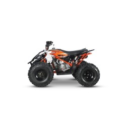 AT110 PREDATOR - MINI QUAD ATV 110cc AUTOMATICO 4 TEMPI BY KAYO