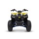 QUAD HAMMER 125