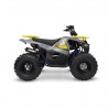 QUAD HAMMER 125