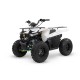 QUAD HAMMER 125