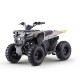 QUAD HAMMER 125