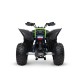 QUAD HAMMER 125