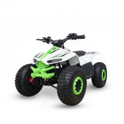 QUAD GRIZZLY ELETTRICO