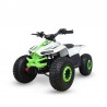 QUAD GRIZZLY ELETTRICO