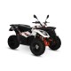 QUAD KAYO AU300 OMOLOGATO T3b TARGA GIALLA 2 POSTI