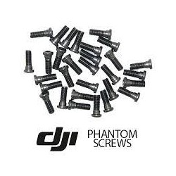 Ricambio DJI Phantom 2 Vision Set Viti Part 21