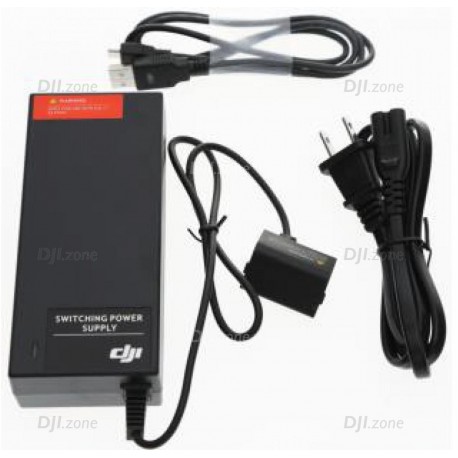 RONIN-M PART29 25W BATTERY CHARGER (EU)