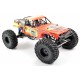 FTX MAULER 4X4 ROCK CRAWLER BRUSHED 1:10 READY-TO-RUN